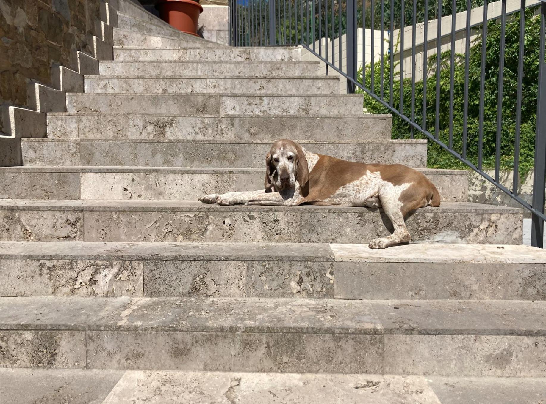 Corte Francigena Montalcino Kültér fotó