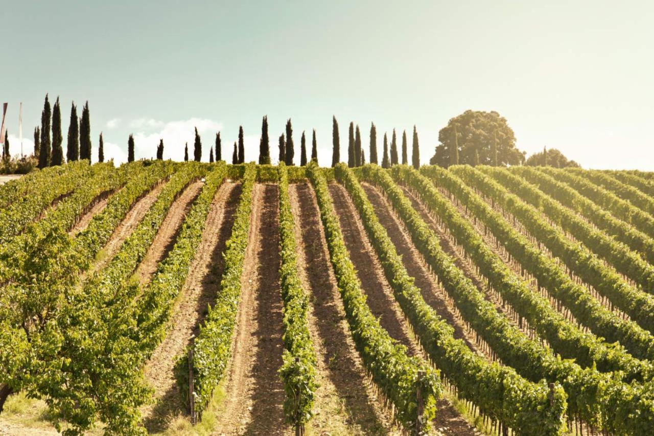 Corte Francigena Montalcino Kültér fotó